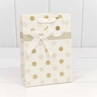 Пакет подарочный "Леди" с тиснением (микс) 14*20*7 210г 1/20 1/480 Арт: 000154G - Пакет подарочный "Леди" с тиснением (микс) 14*20*7 210г 1/20 1/480 Арт: 000154G