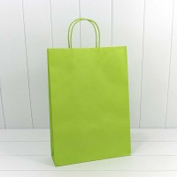 Пакет подарочный Крафт Салатовый 32*45*10 1/20 1/300 Арт: 000216A/12