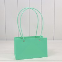 Пакет подарочный "Ваза для цветов" 22*13,5*10,5 Тиффани 1/10 1/120 Арт: 000170EA/3375