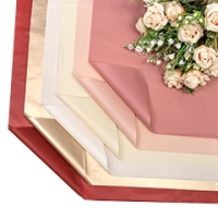 Плёнка 1667 (001367) 58*58 см